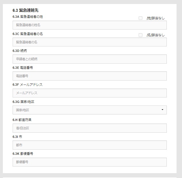 中国ビザ申請 オンライン入力6.3