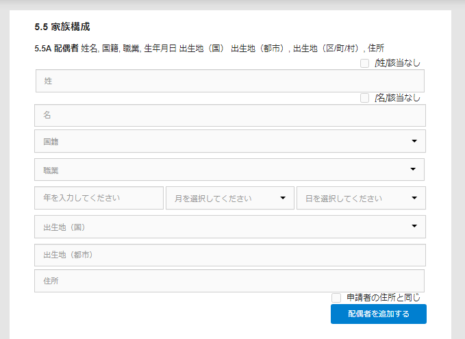 中国ビザ オンライン申請 入力例