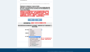 中国国籍パスポート更新・オンライン予約