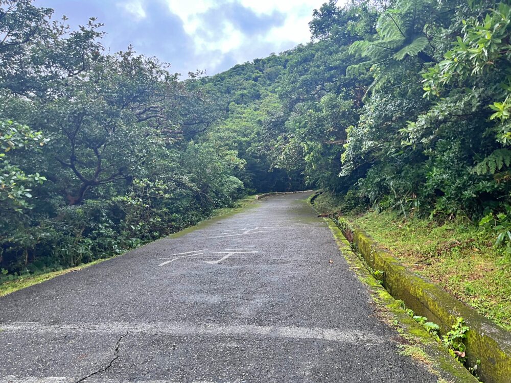 台湾旅行 2025年 蘭嶼