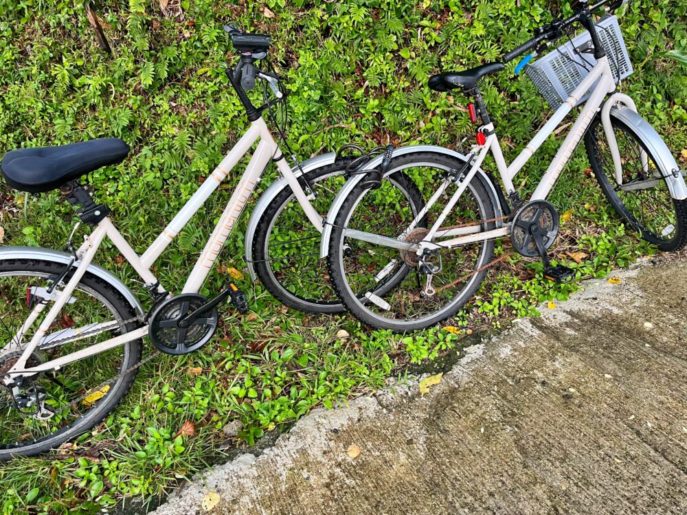 台湾旅行 2025年 蘭嶼